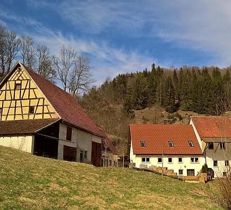 Muehlenchalet Villa Gundershofen Exterior foto